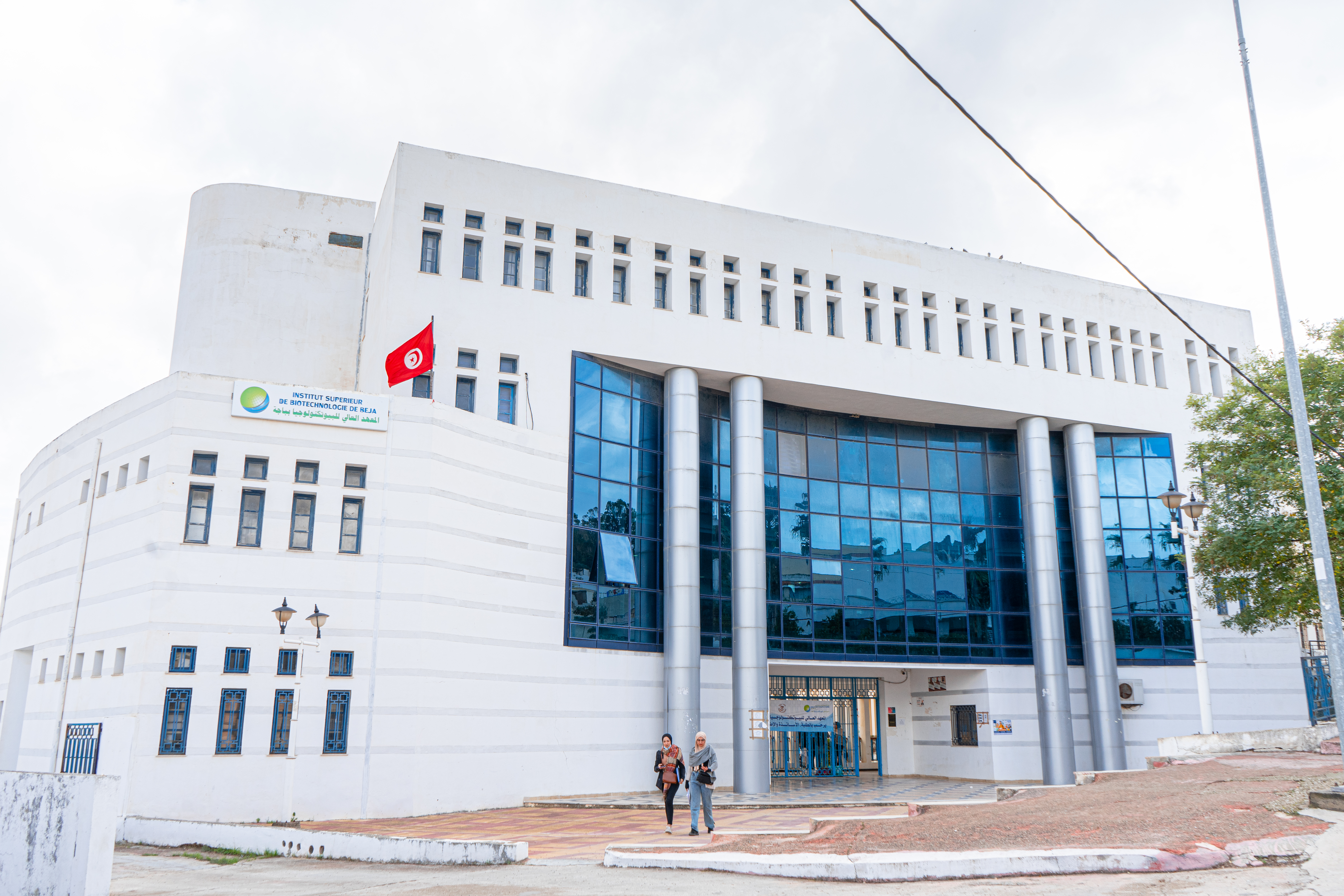 Institut