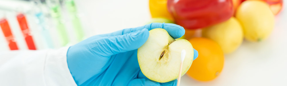 Licence en Sciences et Technologies des Aliments : Parcours : Contrôle Qualité des Aliments (LCQA)
