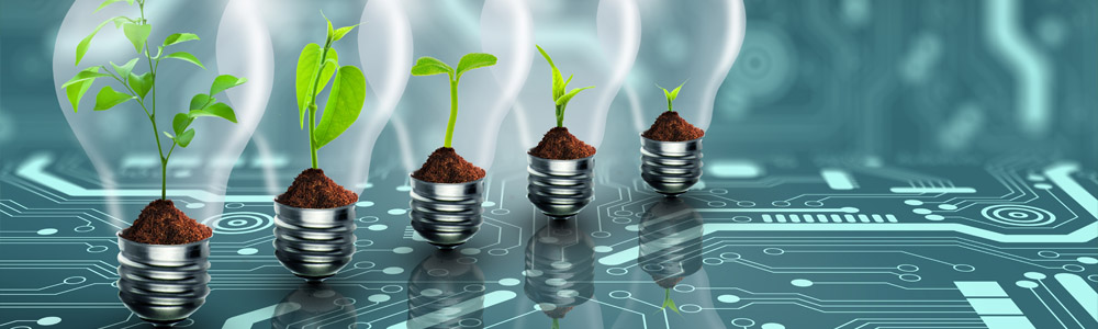 Licence en Sciences et Technologies des Aliments : Parcours : Industries et Procédés Alimentaires (LIPA)